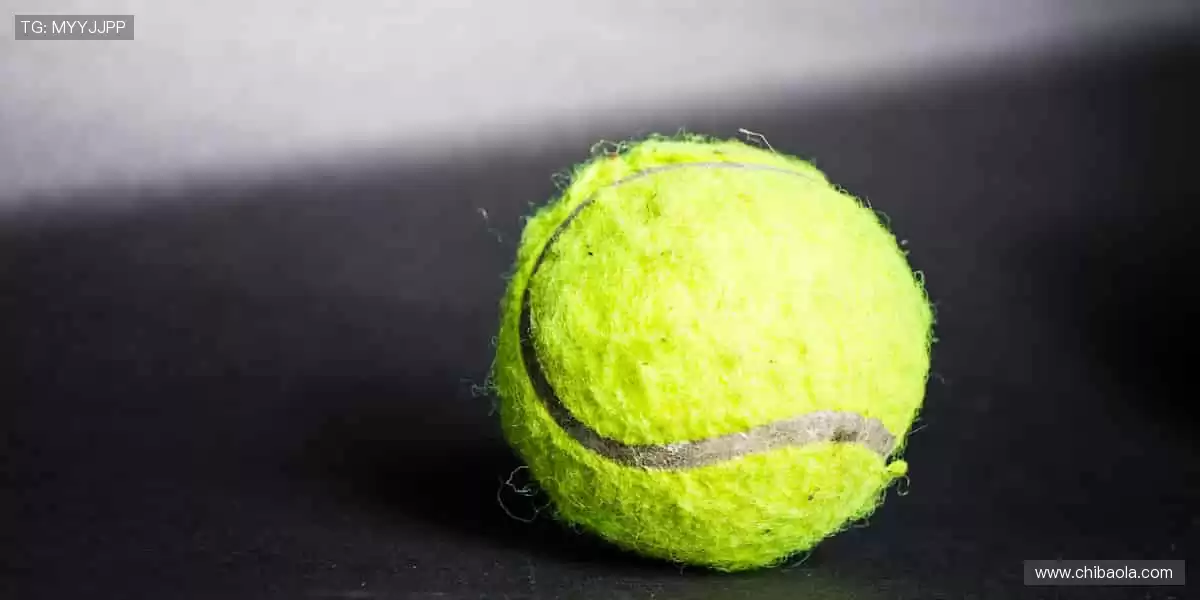 📱【指尖掌控】一键切换赛场,精彩永不缺席!